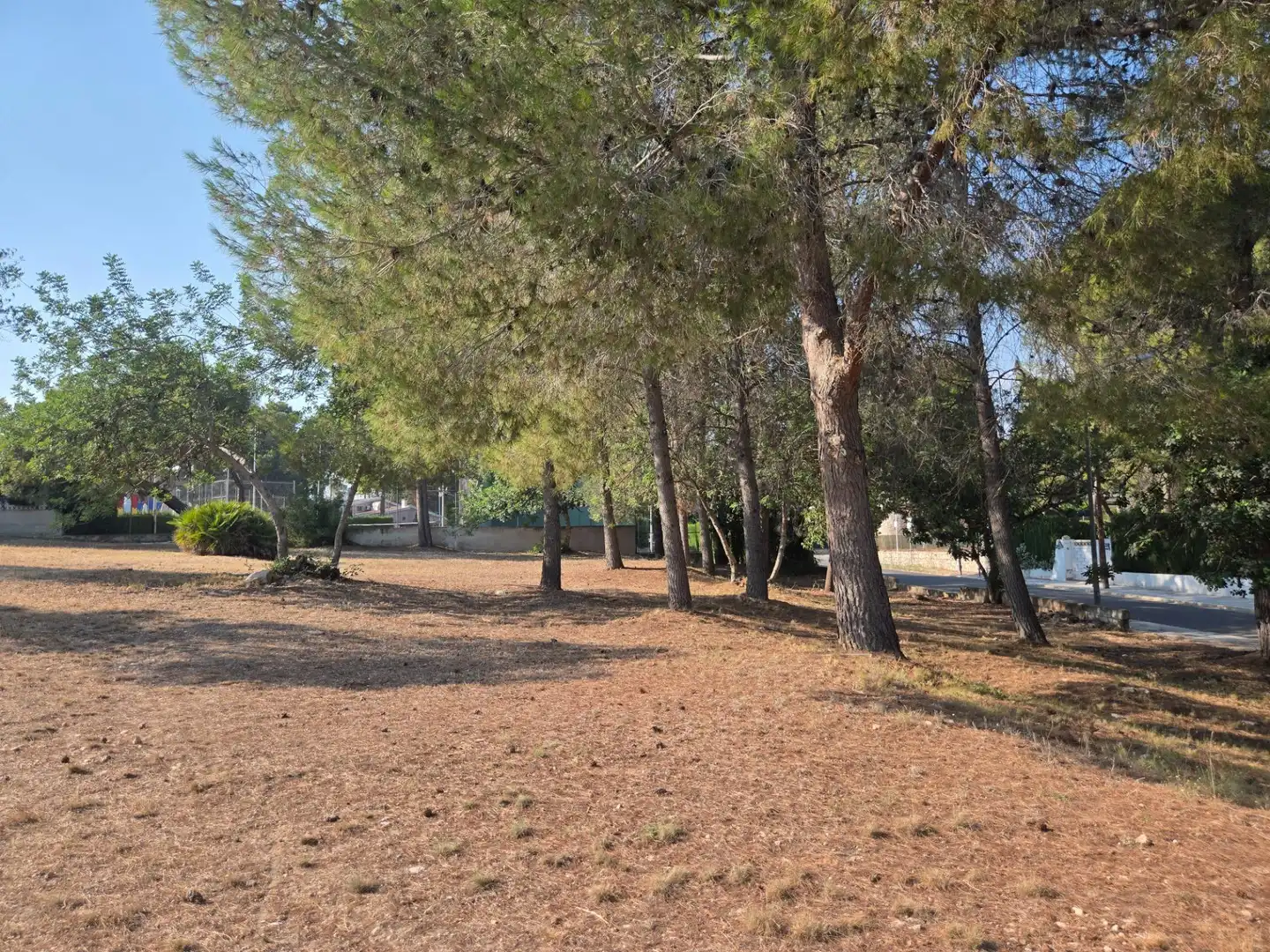 Terreny residencial en venda a La Cañada, imagen 4