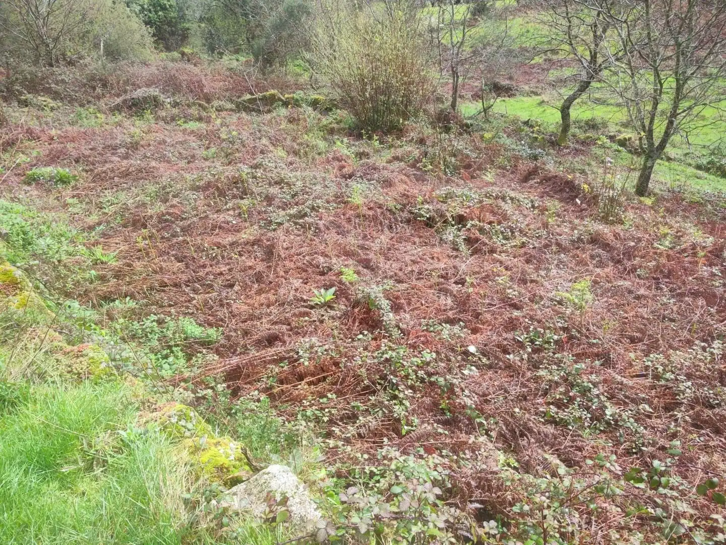 Terreno rustico in vendita a Ponte Caldelas, imagen 13