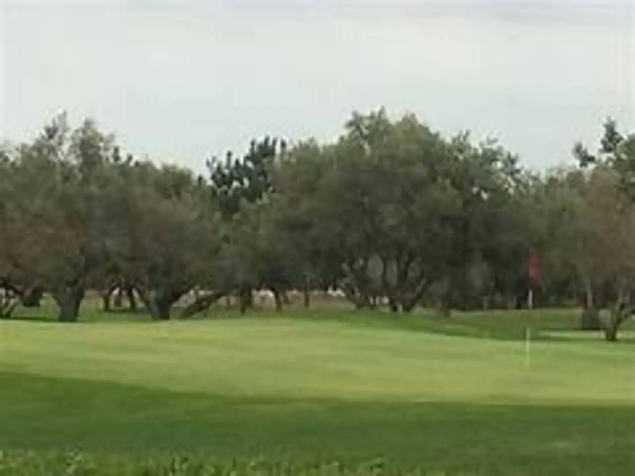 Terreny residencial en venda a San Jorge / Sant Jordi, imagen 2