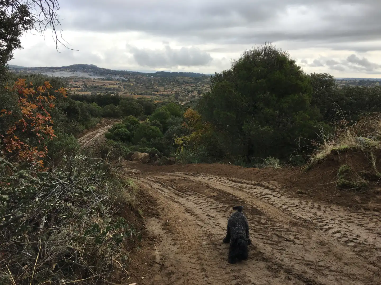 Rural land for sale in Cadalso de los Vidrios, imagen 7