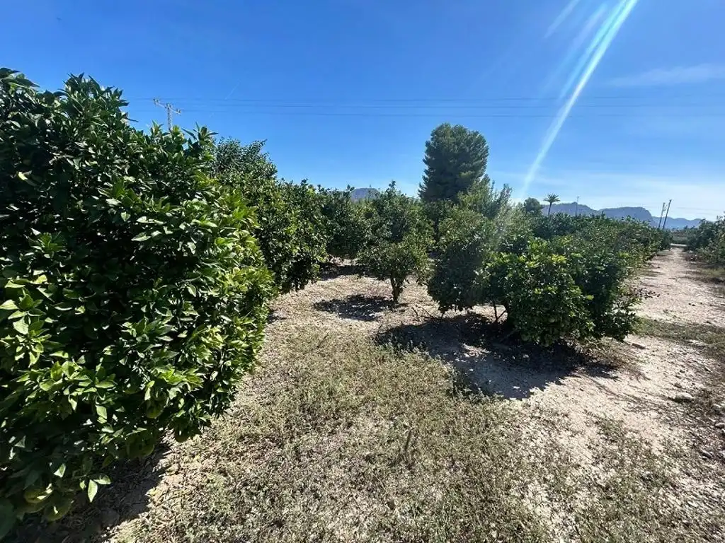 Rustikales Grundstück zum Verkauf in Ricote, imagen 2