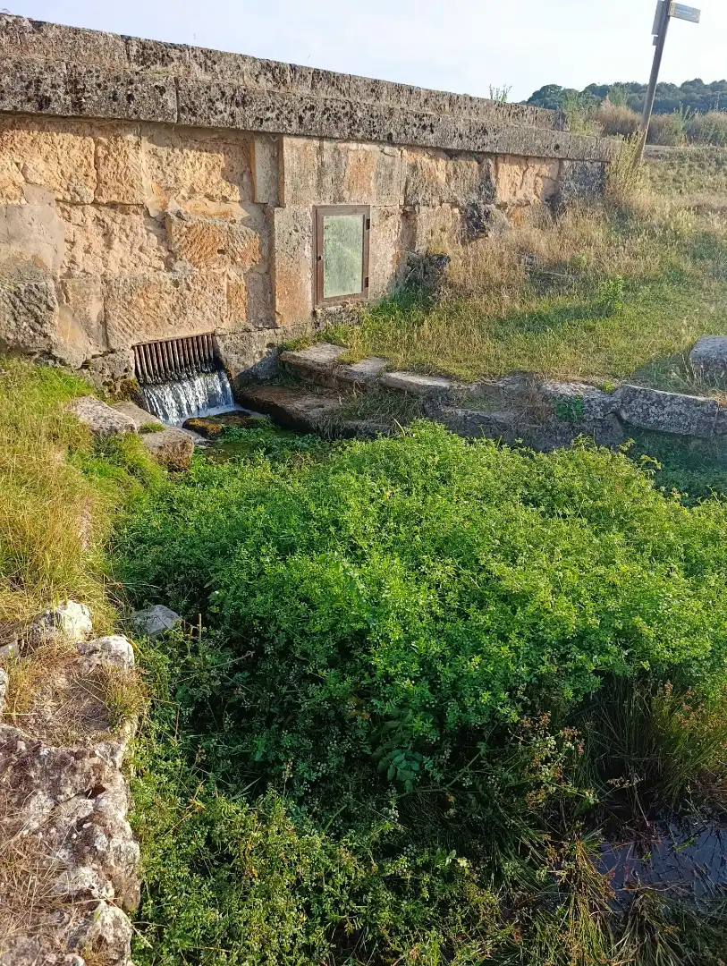 Jardín de Casa o chalet en venta en Solarana con Calefacción, Amueblado y Horno