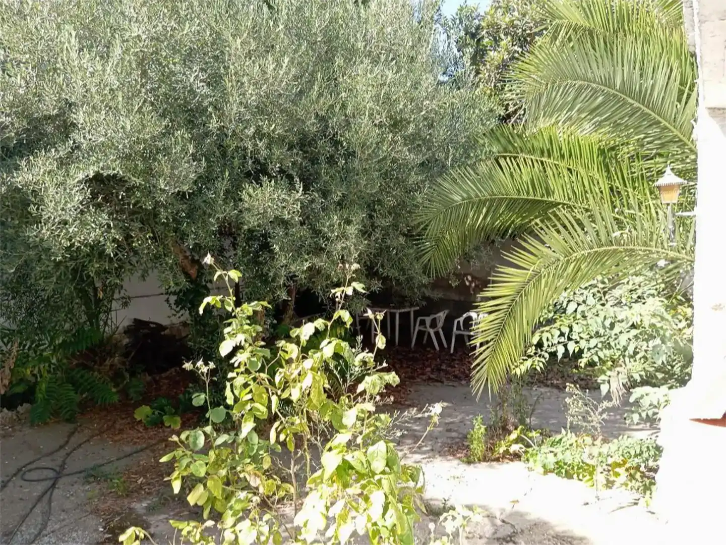 Jardí de Pis en venda en Borja amb Jardí privat