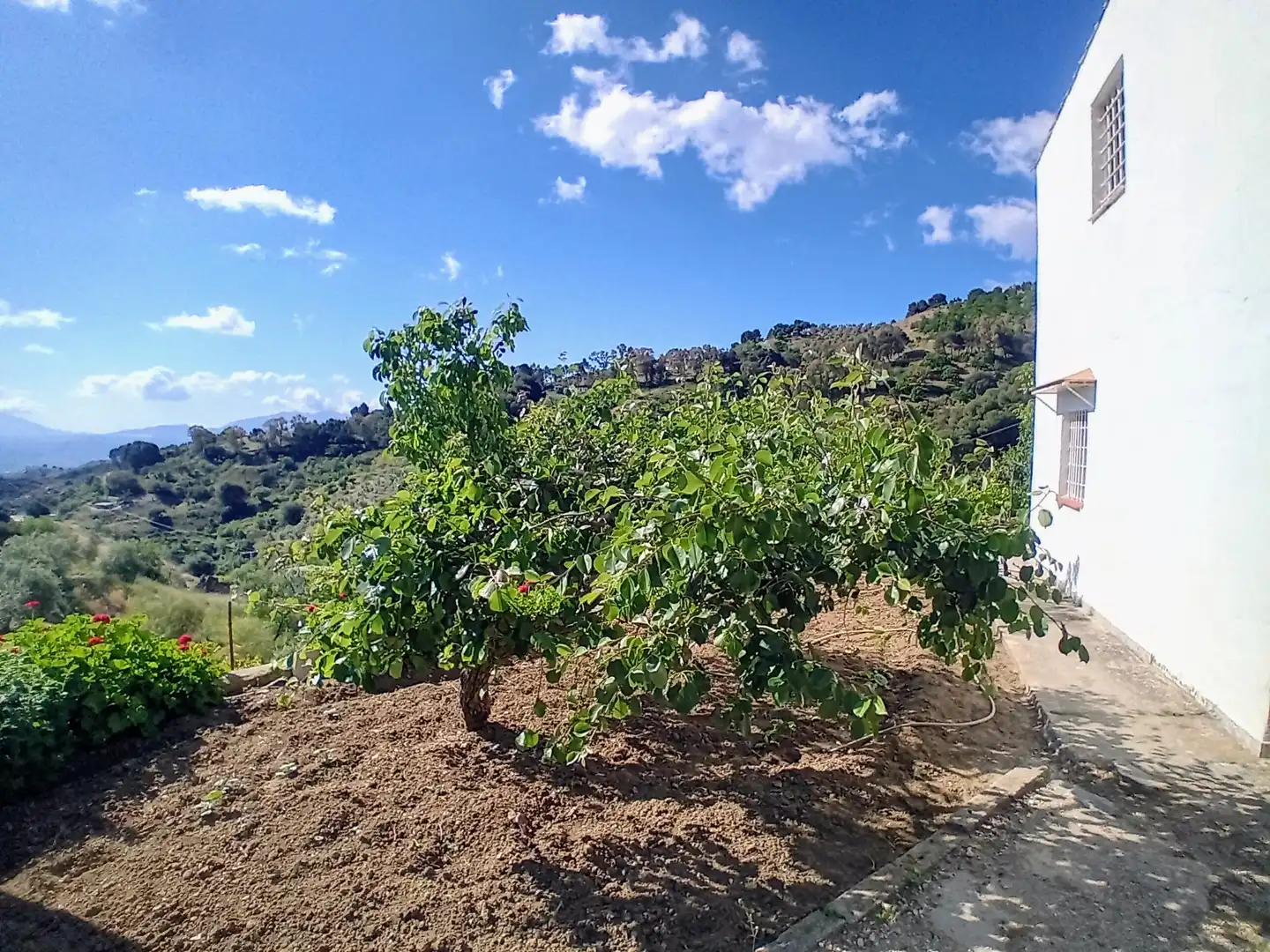 Casa rústica en venda a Yunquera, imagen 28
