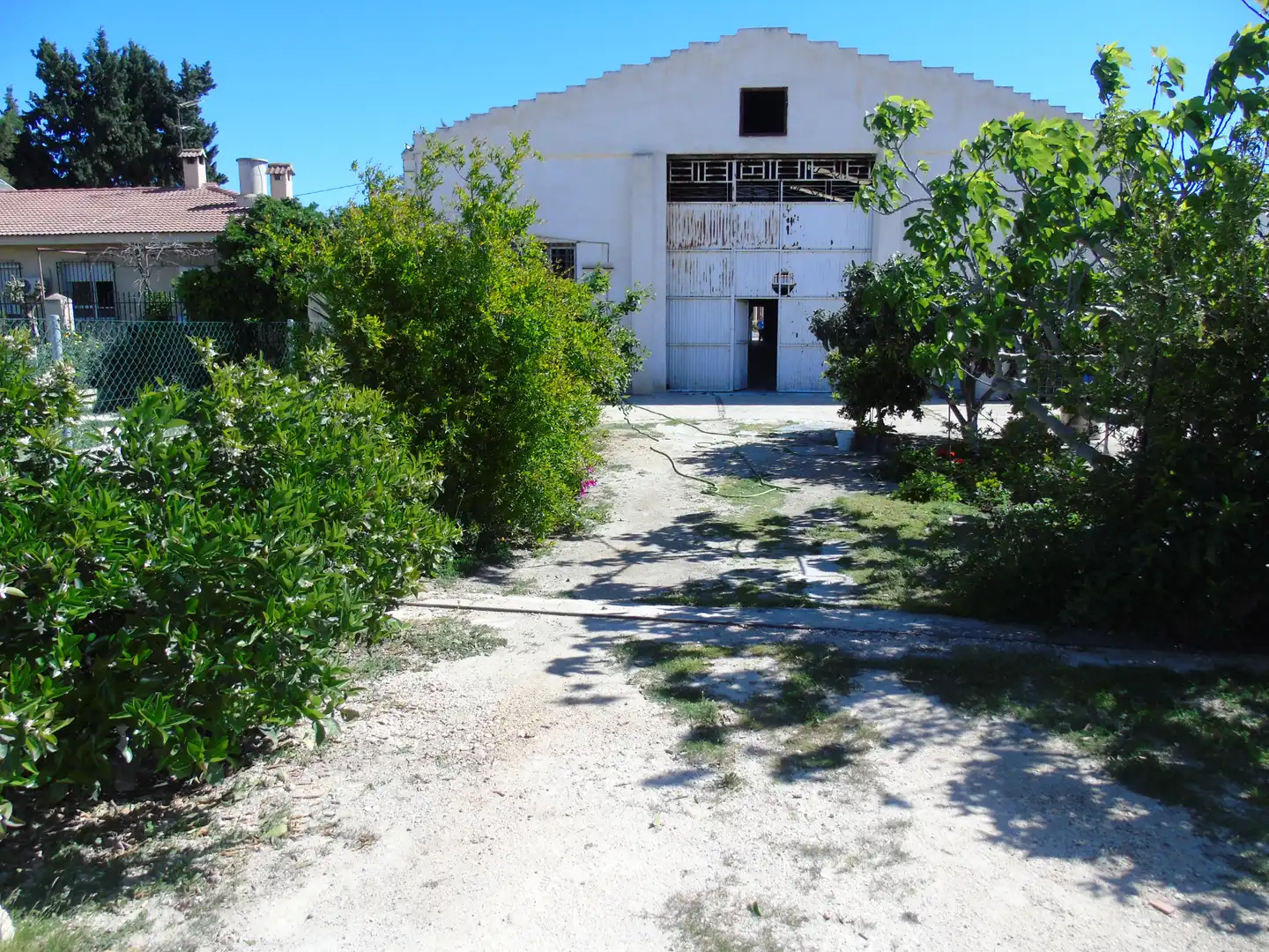 Exterior view of Industrial buildings for sale in Ceutí