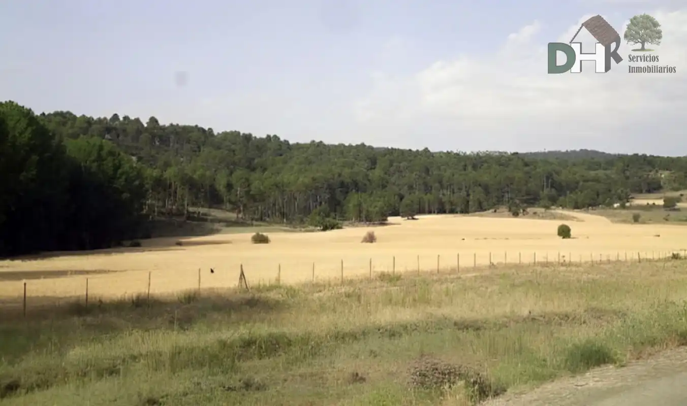 Terreni e lotti in vendita a San Fernando - Carretera de Valencia, imagen 2