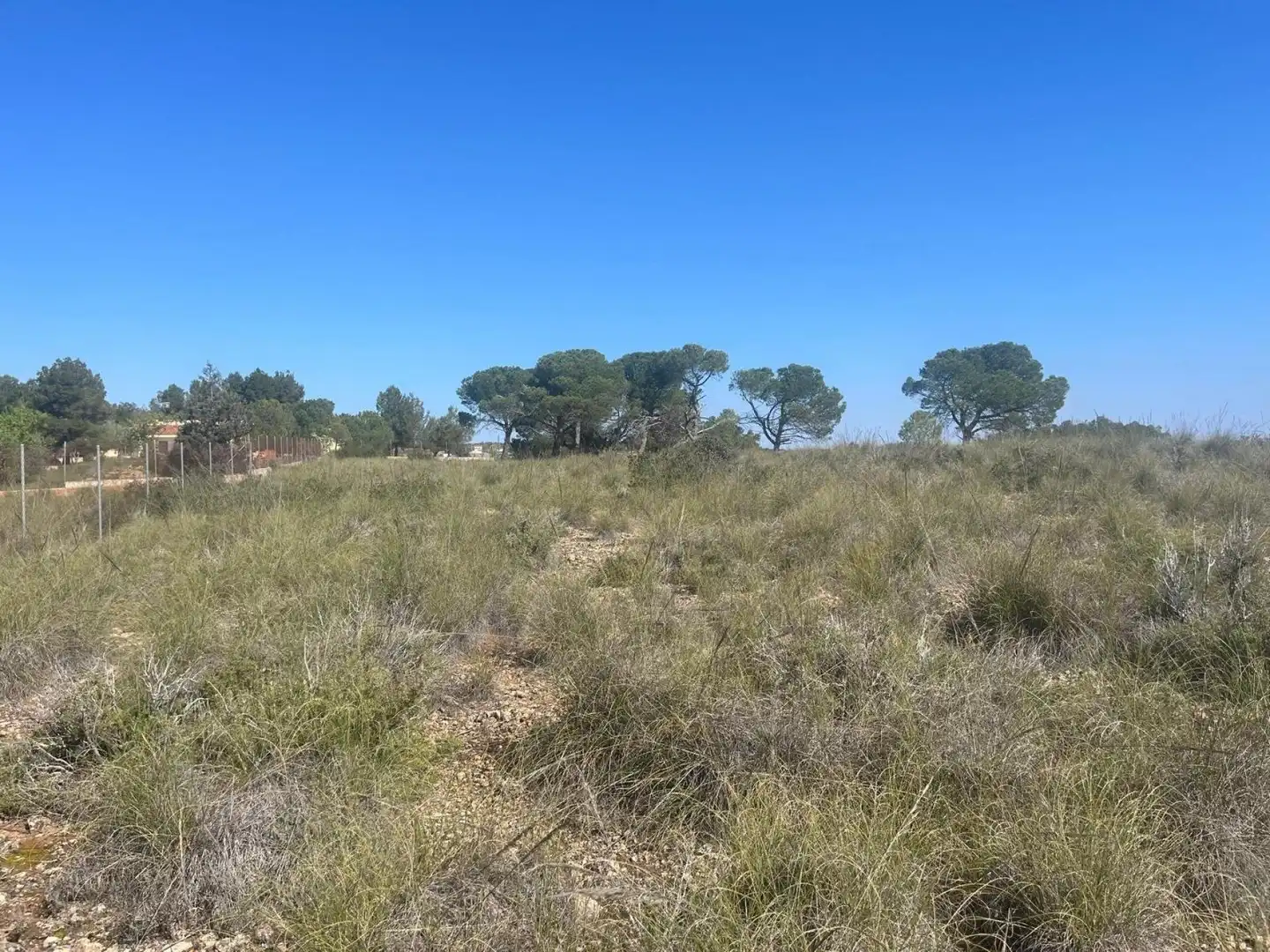 Terreni e lotti in vendita a Almansa, imagen 6