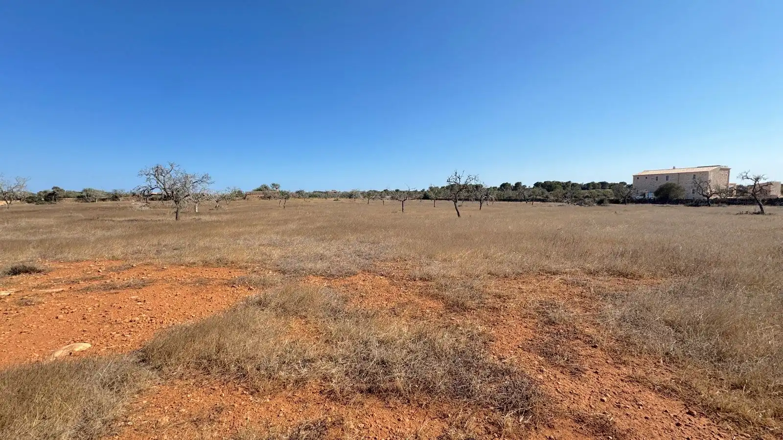 Wohnbaugrundstück zum Verkauf in Ses Salines Poble, imagen 13
