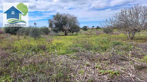 Photo 3 of Country homes for sale in Carretera de Sanlúcar - Sudamérica, El Puerto de Santa María