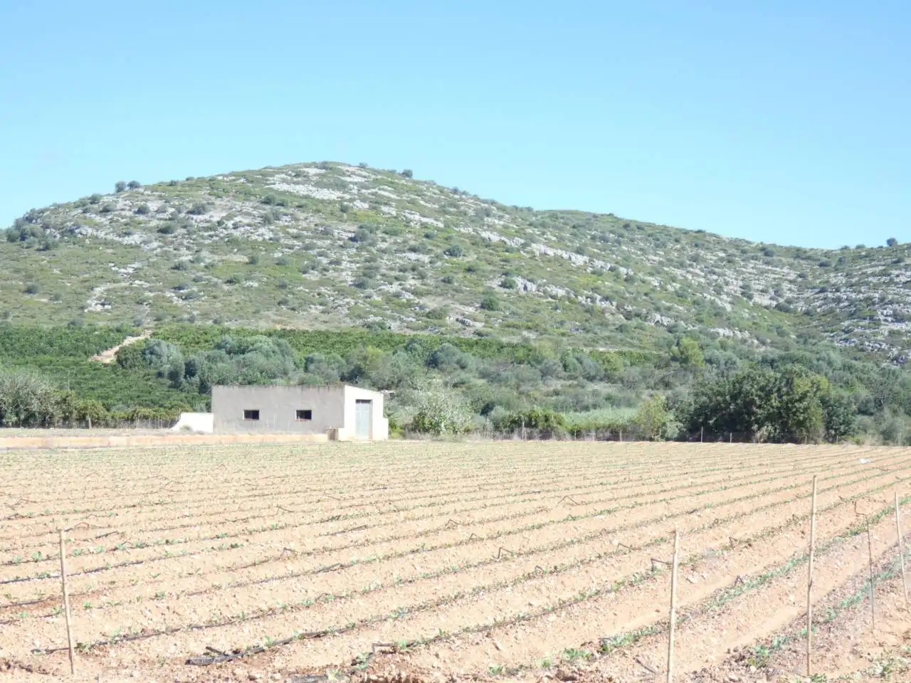Rural land for sale in Calle PARTIDA PUIG POL 3, imagen 3