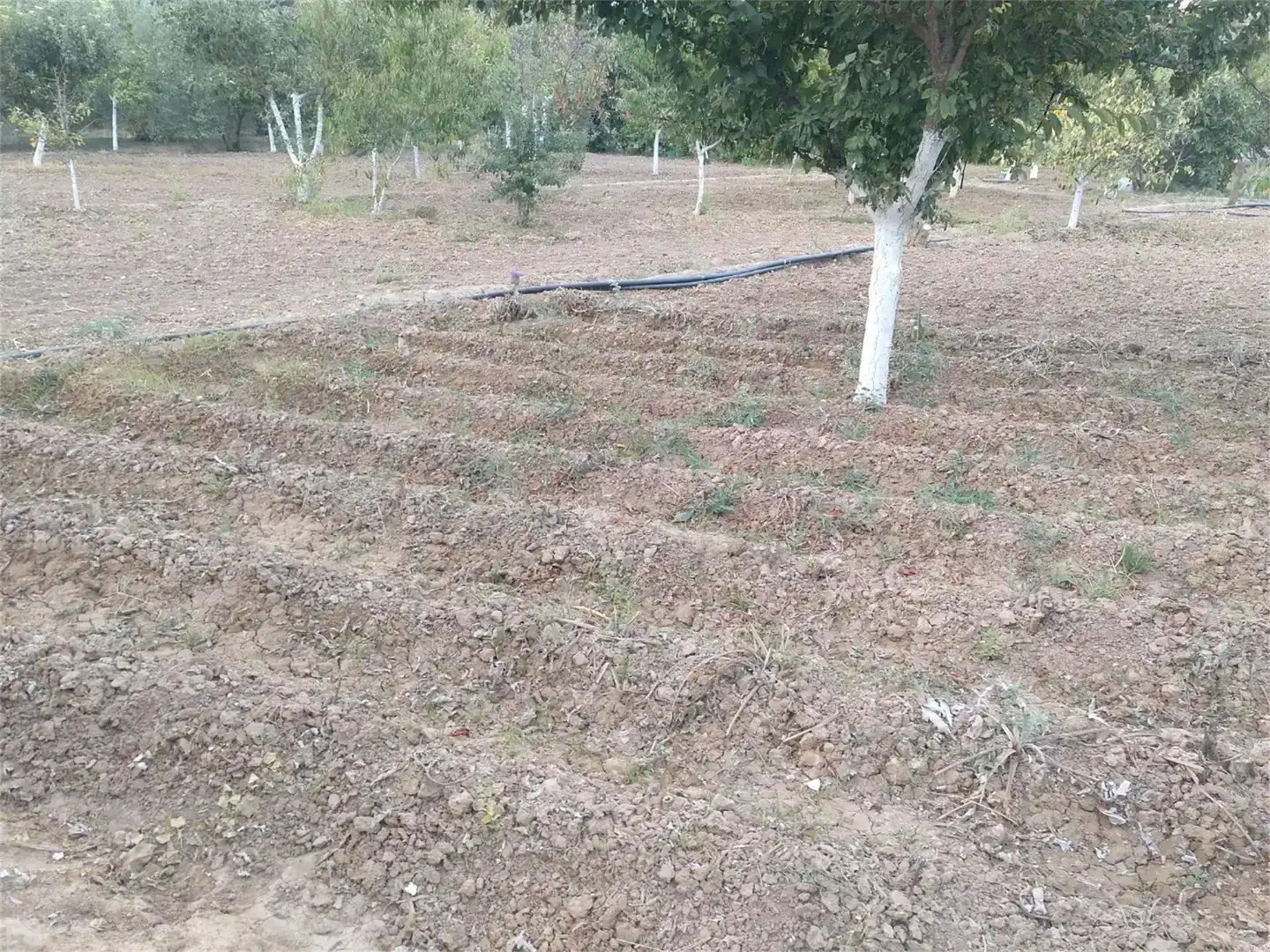 Terreno en venta en Alcaudete