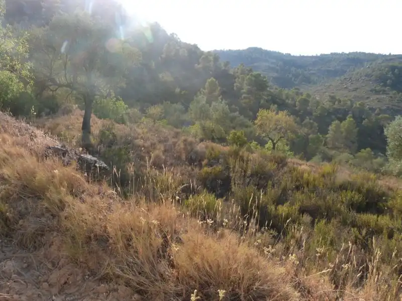 Finca rústica en venta en Calaceite