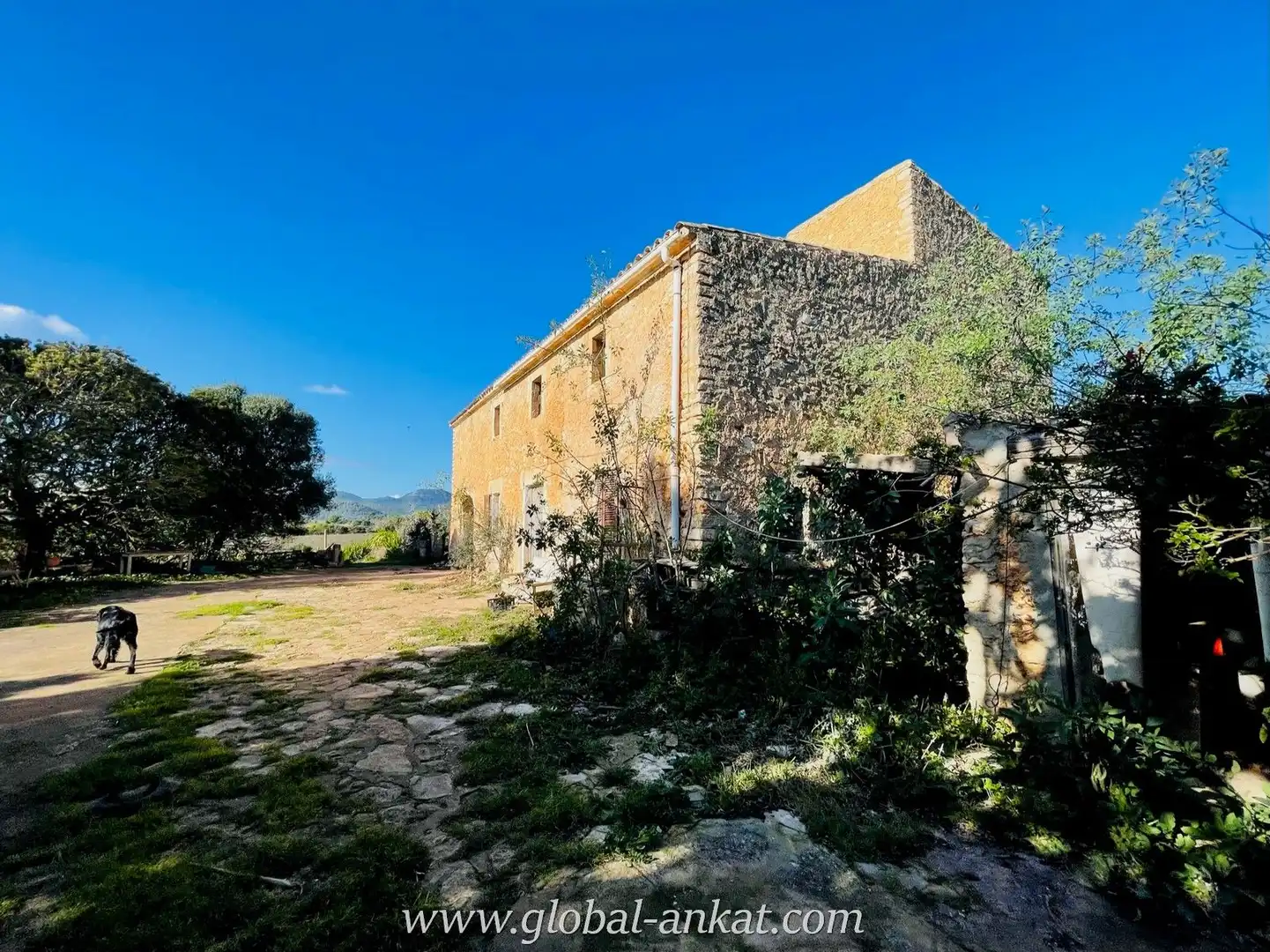 Vista exterior de Finca rústica en venta en Manacor