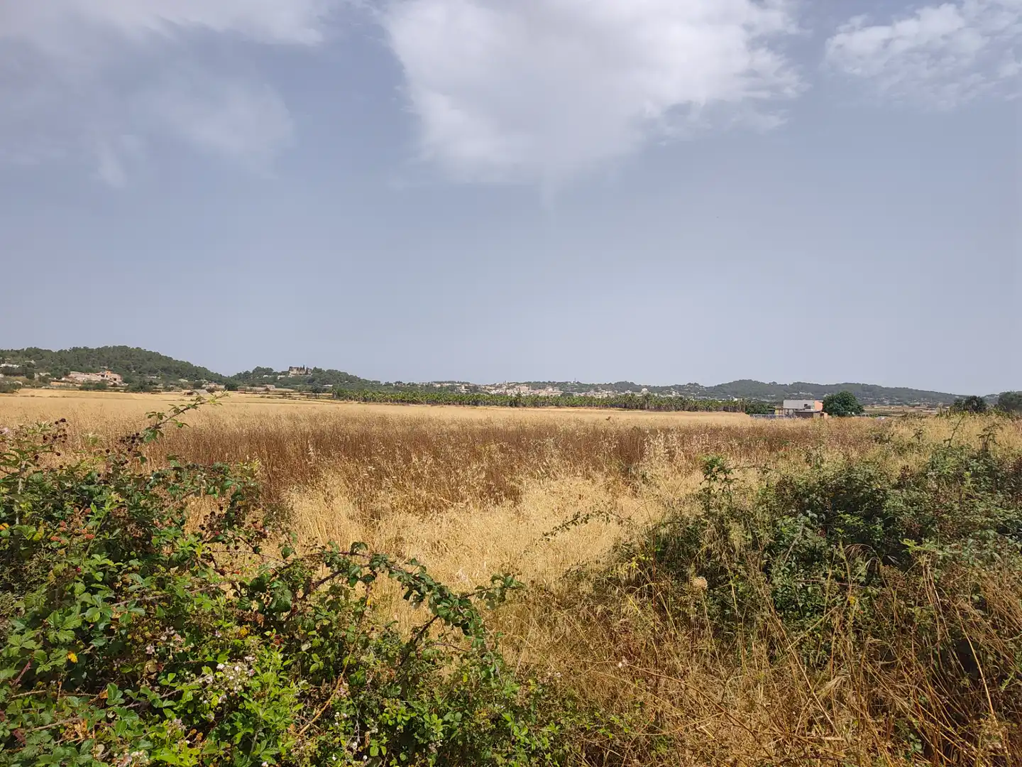 Grundstücke zum Verkauf in Sant Joan