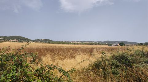 Finca rústica con dos pozos escriturados en Sant Joan, immagine 5