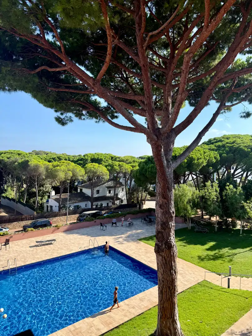 Apartment with terrace to rent in Carrer de Farena