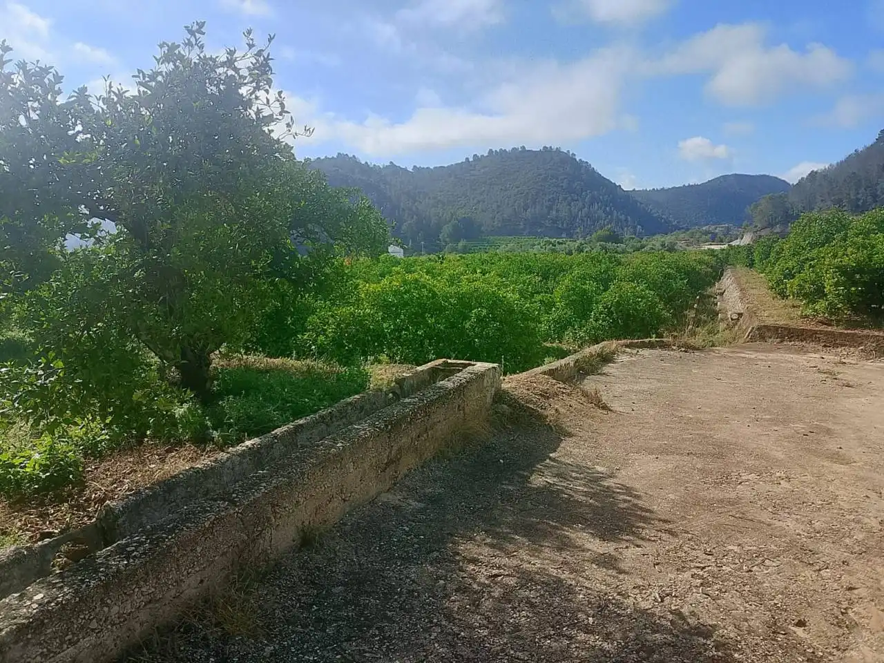 Land for sale in L'Atzúbia