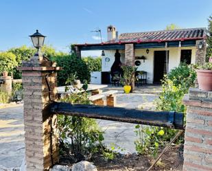 Garden of Country house for sale in Archidona  with Private garden and Swimming Pool