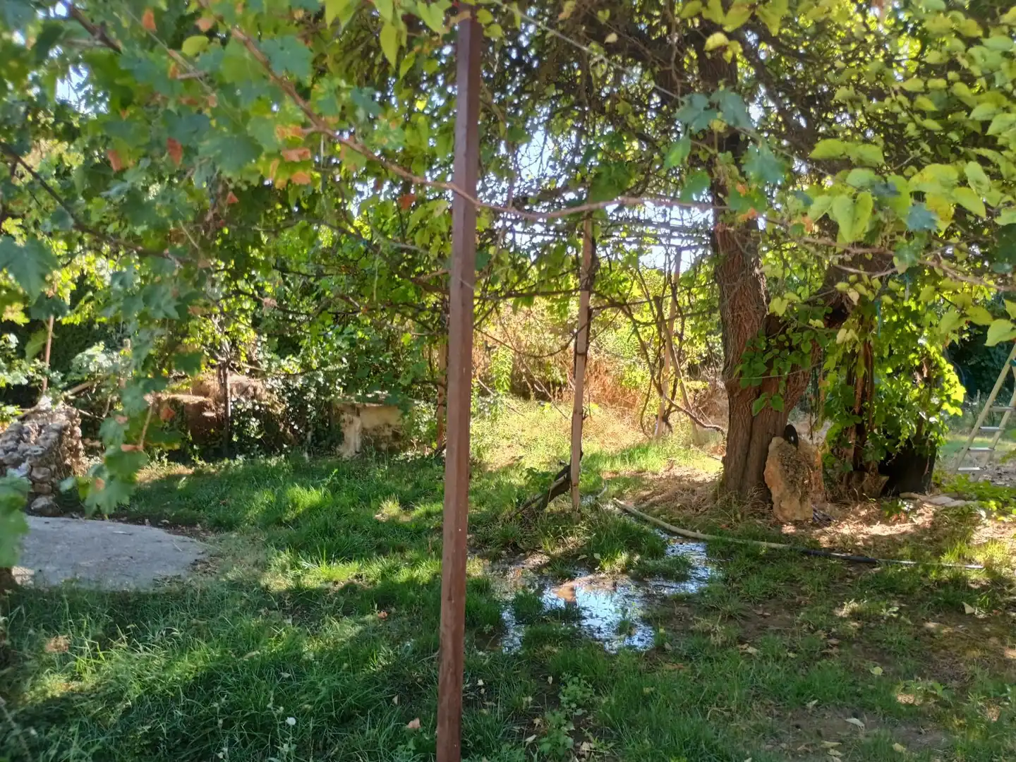 Casa rústica en venda a Villamuriel de Cerrato, imagen 4