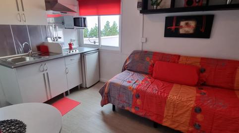 Photo 4 of Flat to rent in La Guancha, Santa Cruz de Tenerife