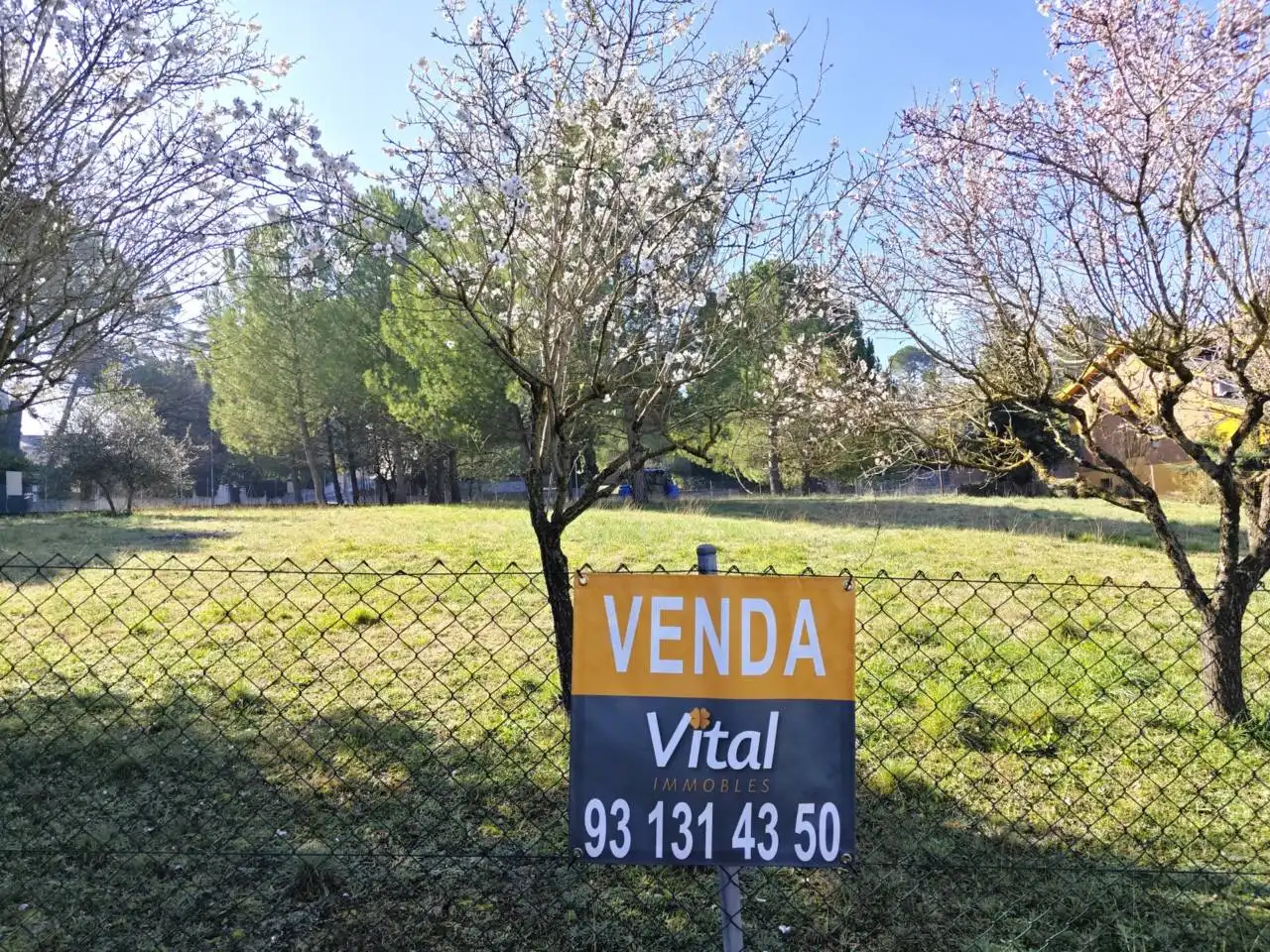 Terreny residencial en venda a Calle Sant Francesc, imagen 3