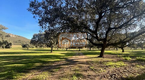 Venta de magnífica finca rústica de 180 hectáreas en Deleitosa, (Cáceres)., immagine 5