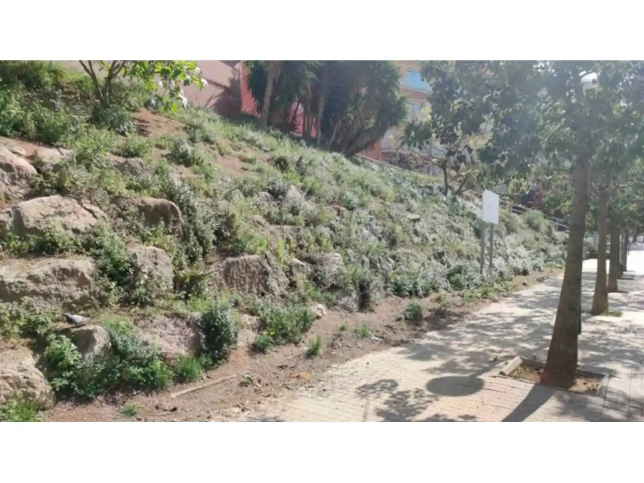 Terreno rustico in vendita a Calle Llobregós, imagen 4