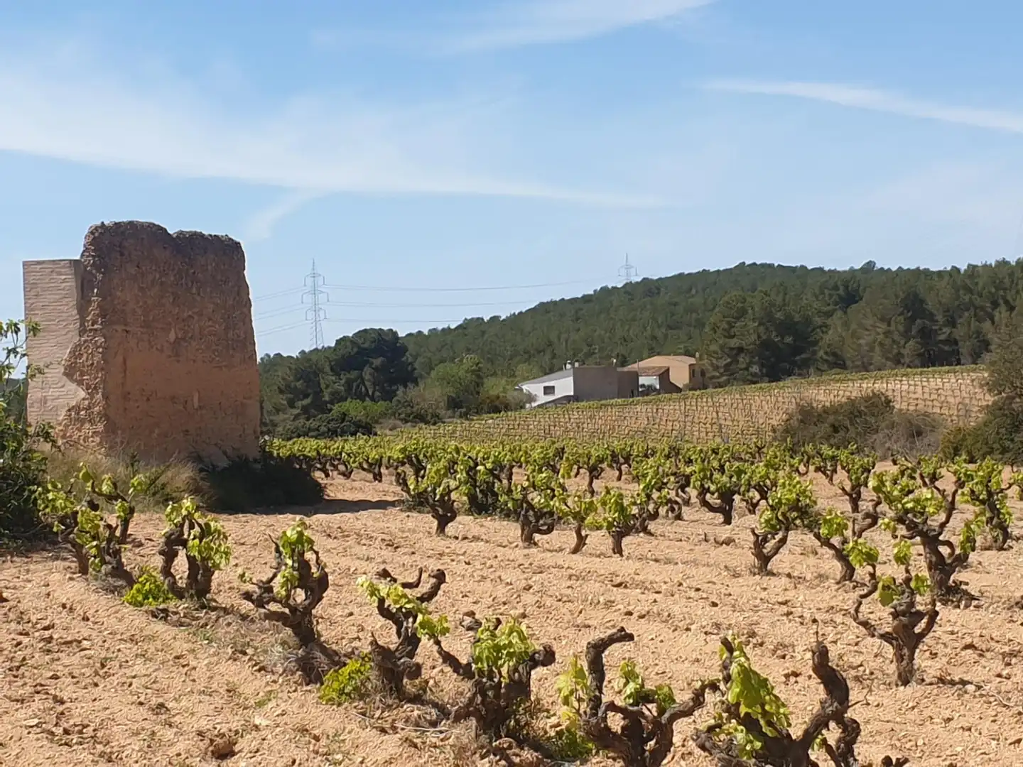 Casa rústica en venda a Olèrdola, imagen 3
