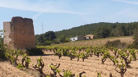 Foto 3 de Finca rústica en venda a Olèrdola, Barcelona