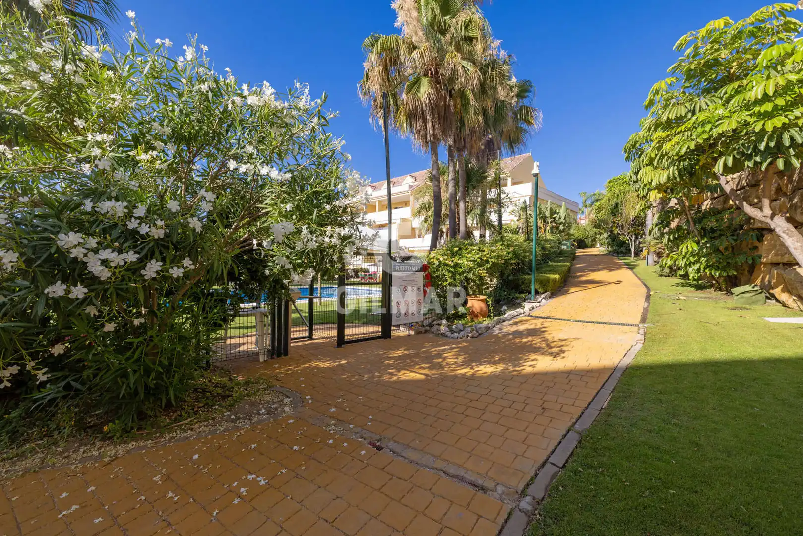 Vista exterior de Apartament en venda en Estepona amb Piscina i Balcó