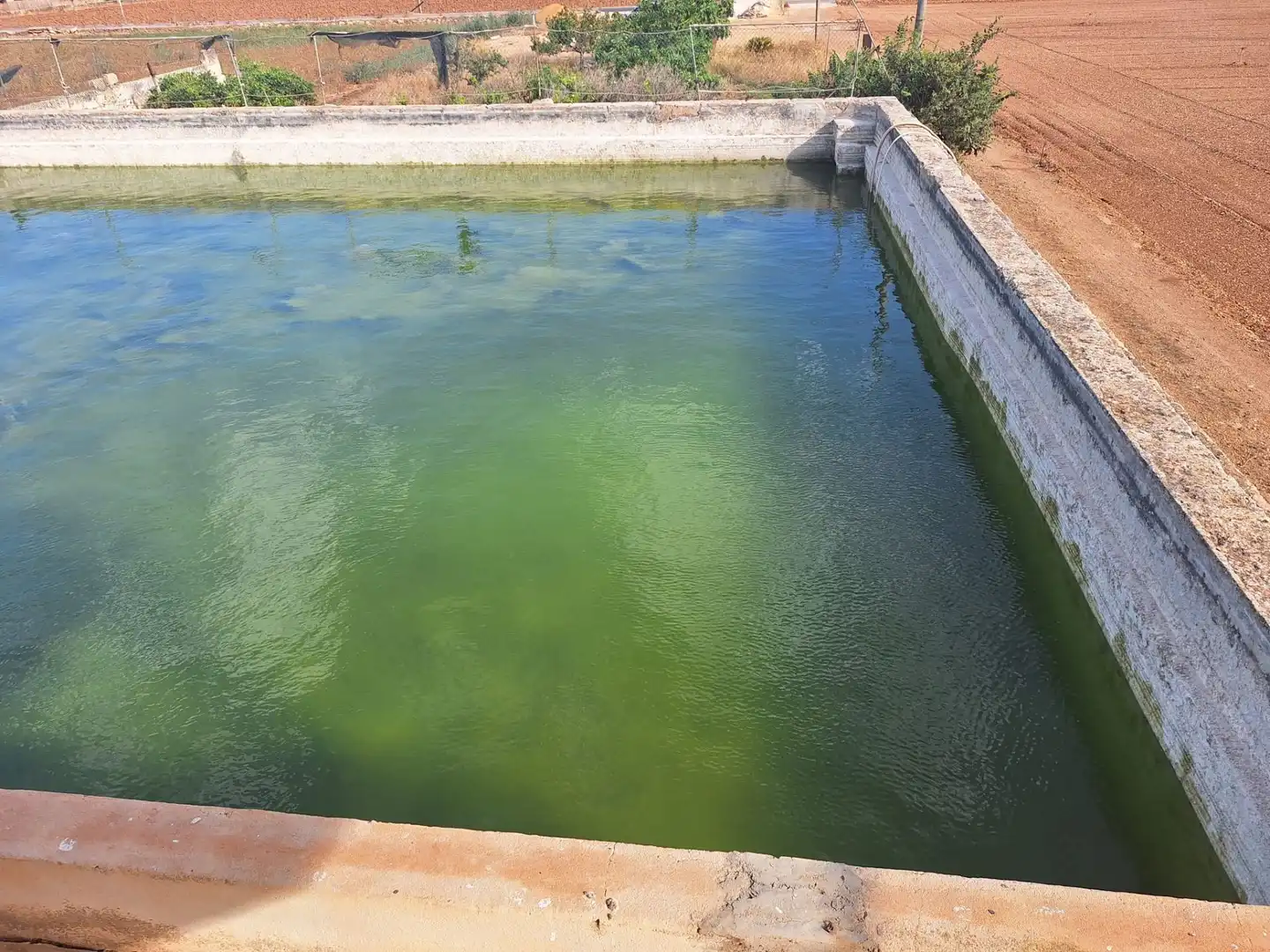 Schwimmbecken von Residential zum Verkauf in Sa Pobla