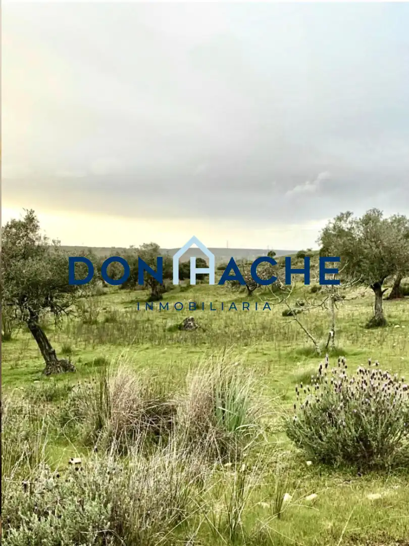 Terreni e lotti in vendita a Oeste