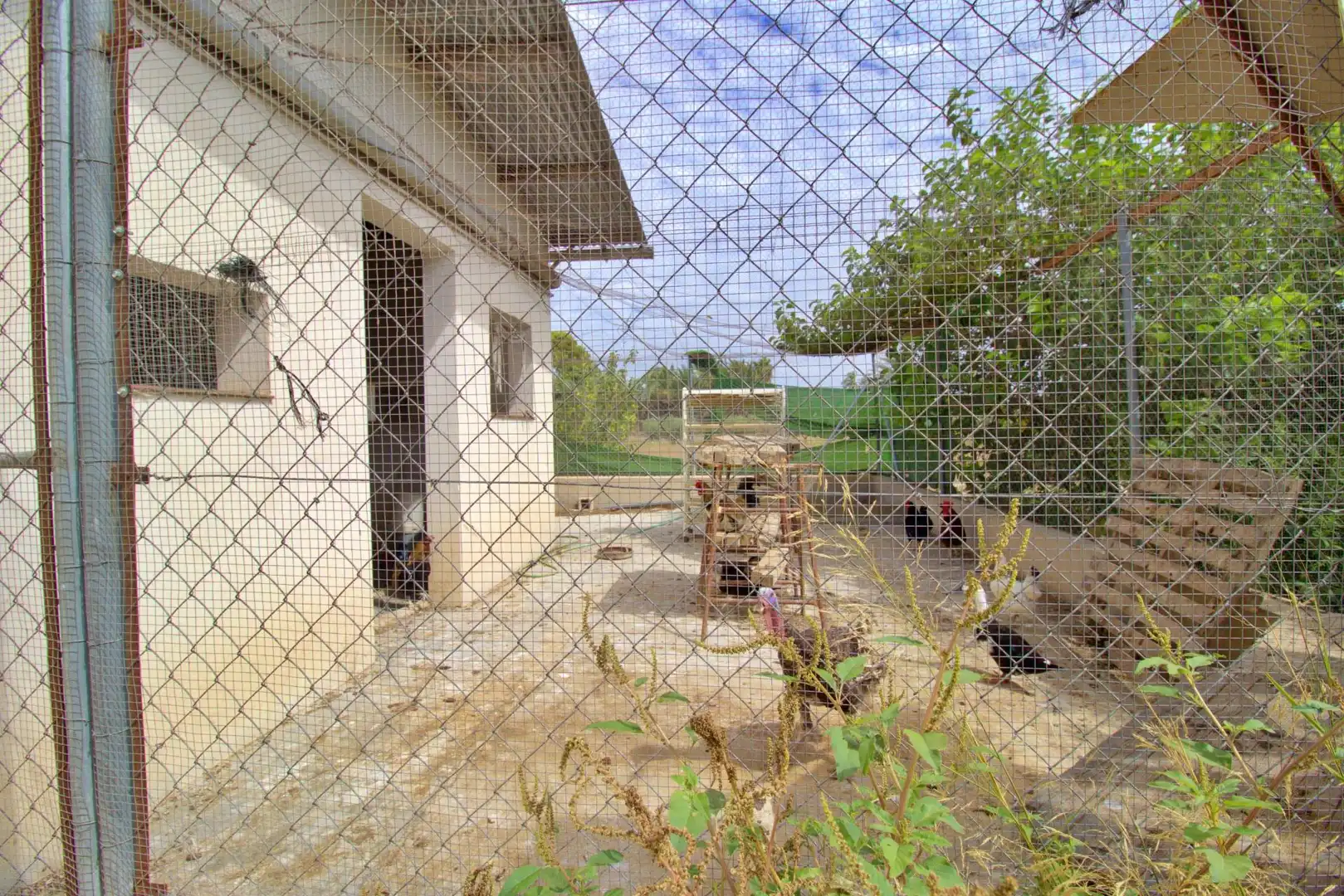 Villa avec piscine à vendre à La Foia - Daimés - Asprella, imagen 51