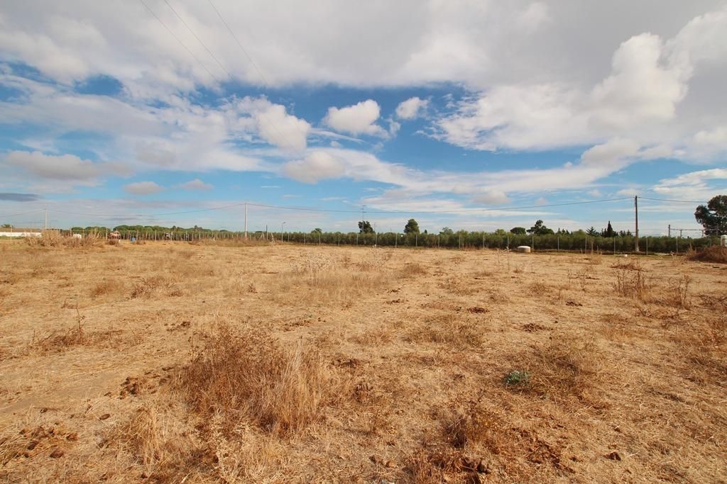 Land for sale in Jerez de la Frontera