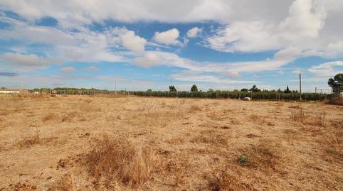 Foto 3 de Terreno en venta en Pozoalbero, Jerez de la Frontera
