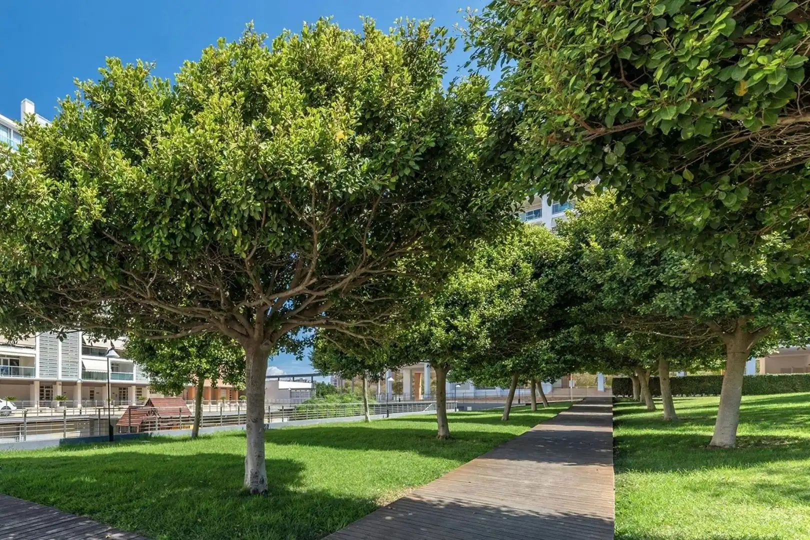 Àtic amb terrassa en venda a Calle Catedrático Abelardo Rigual "Parque Azaleas", imagen 48