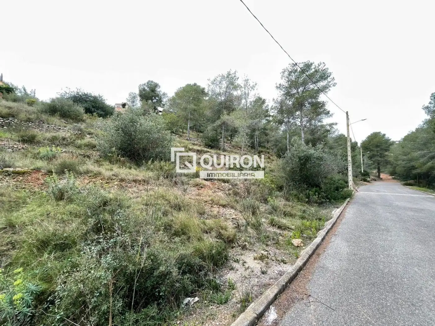 Rural land for sale in La Bisbal del Penedès, imagen 3