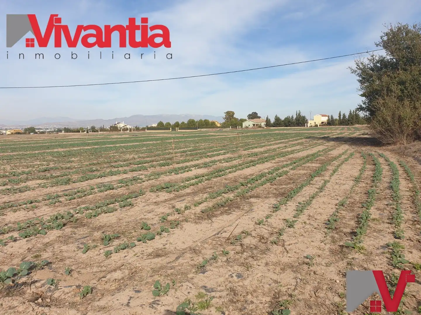 Terreni e lotti in vendita a Pedanías Sur, imagen 3