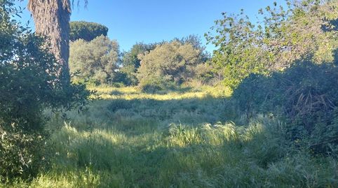 Foto 3 de Residencial en venda a Los Franceses – La Vega, Chiclana de la Frontera
