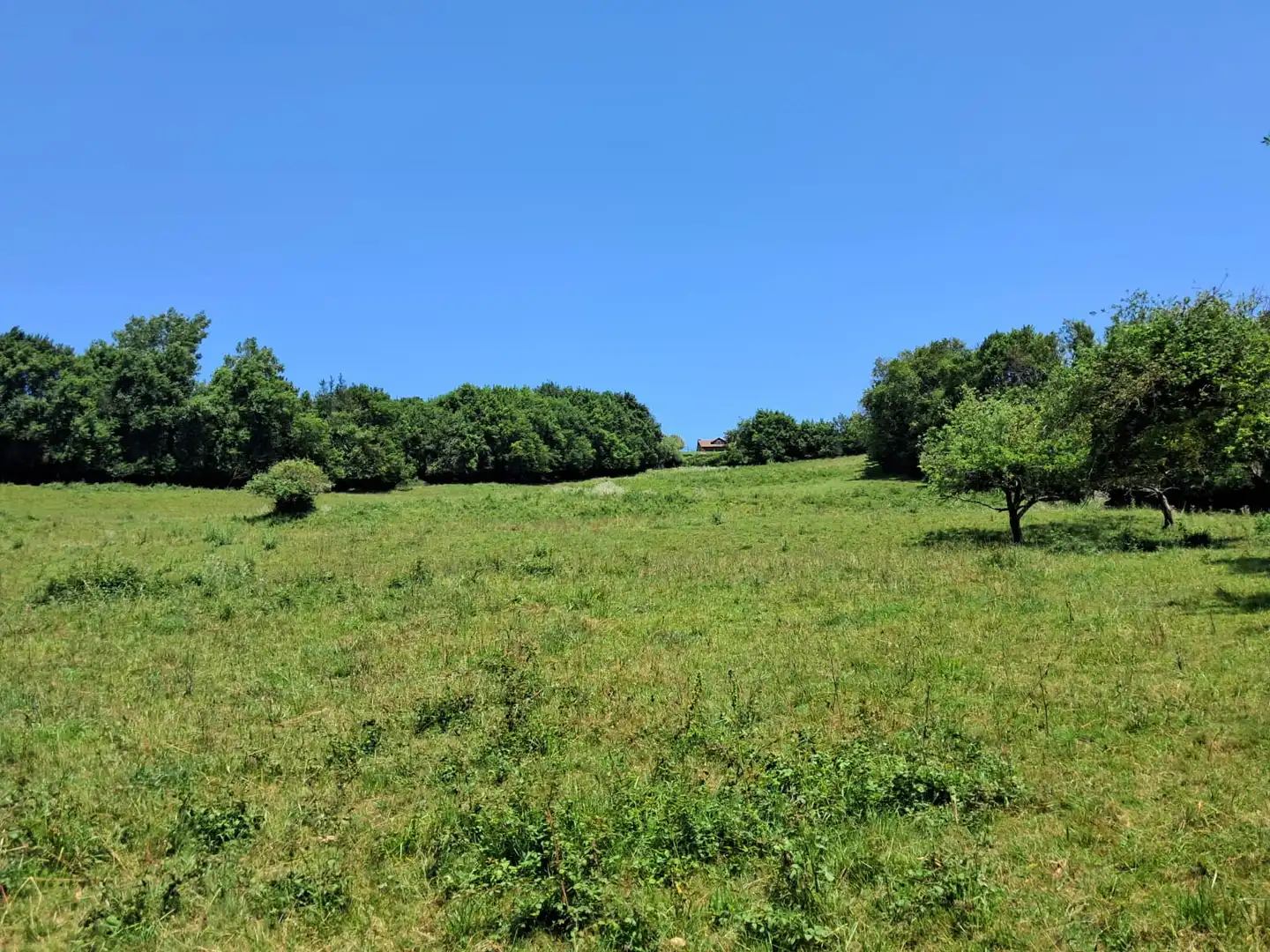 Residential for sale in Carreño