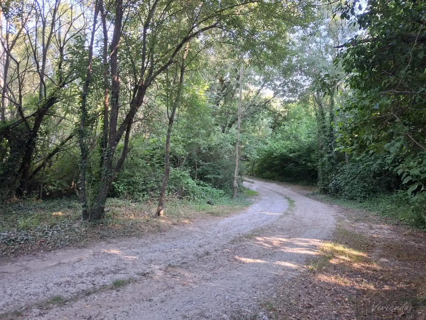 Vista exterior de Finca rústica en venta en Bustarviejo