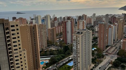 Foto 3 de Estudi en venda a Carrer Munisipi, 7, Juzgados - Plaza de Toros, Benidorm