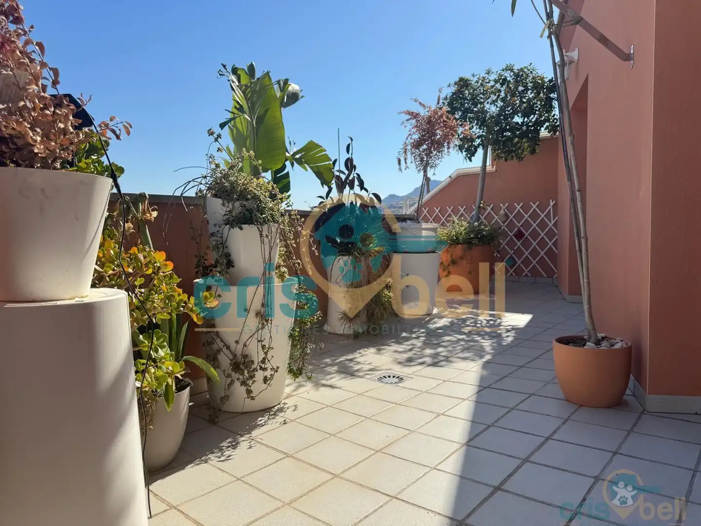 Terraza de Ático en venta en Lorca con Aire acondicionado, Terraza y Trastero