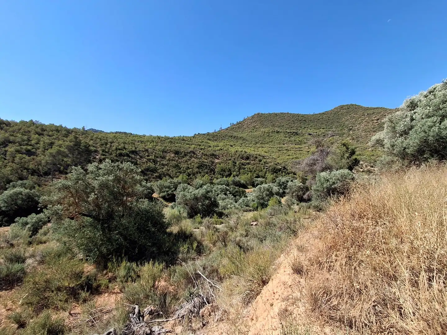 Finca rústica en venda en Riba-roja d'Ebre