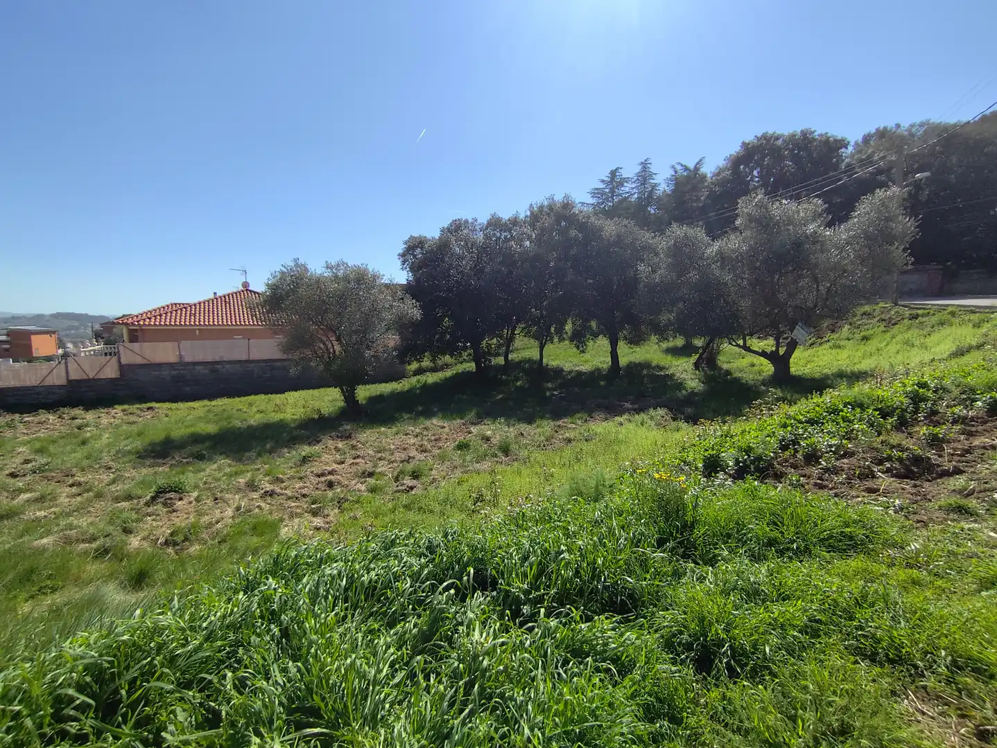 Wohnbaugrundstück zum Verkauf in Carrer Hèrcules, imagen 5