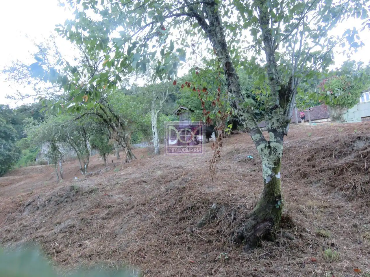 Casa rústica amb jardí en venda a Mondariz, imagen 25