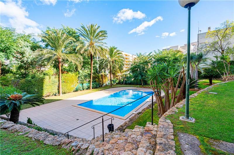 Swimming pool of Flat to rent in  Palma de Mallorca  with Air Conditioner, Terrace and Furnished