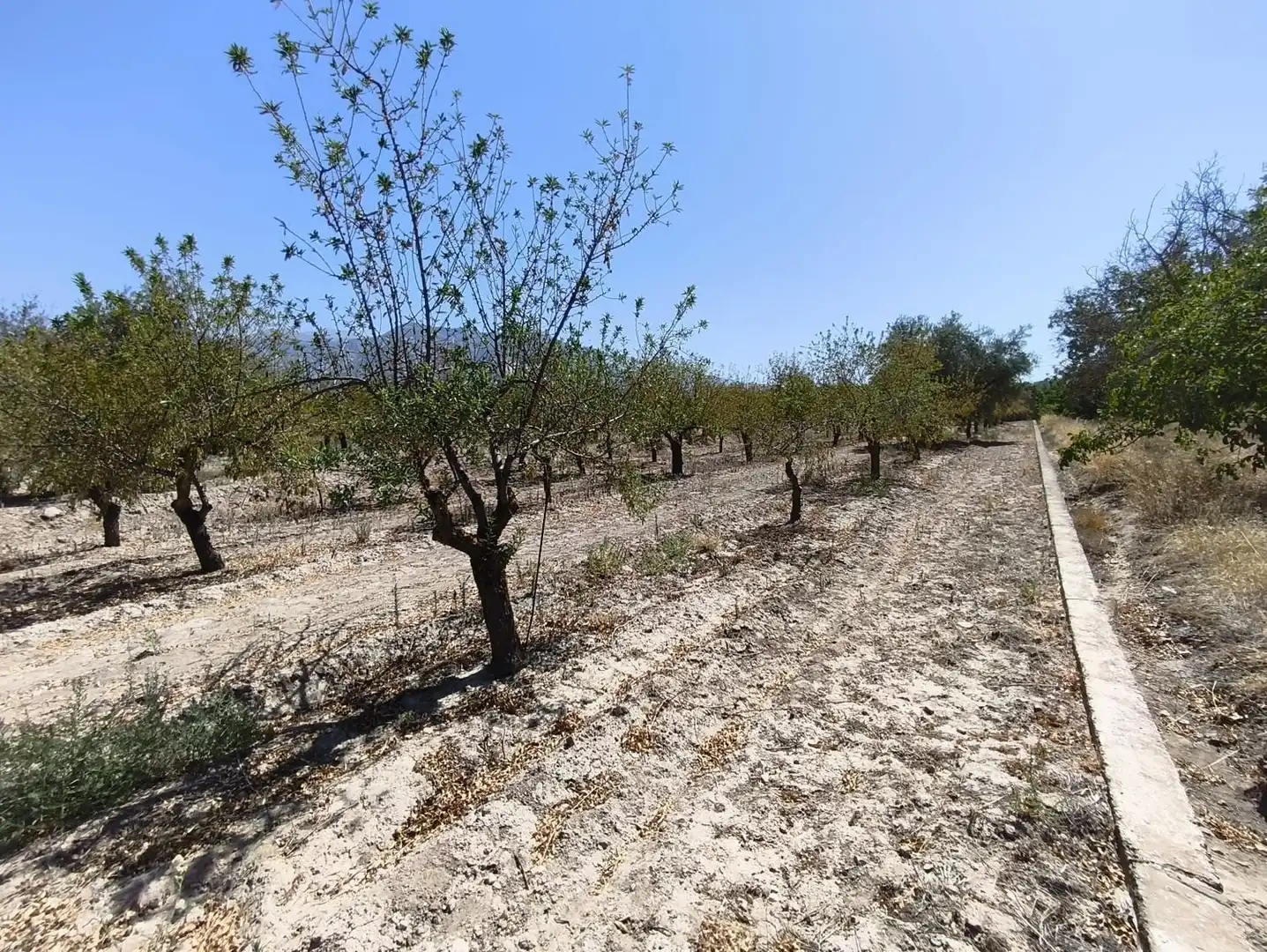 Rural land for sale in 2C55+9GC Cozvijar 0, imagen 23