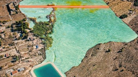 Activo único en Monóvar: finca de gran extensión con explotación agrícola y potencial hotelero.