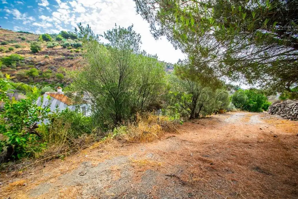 Rustikales Grundstück zum Verkauf in Torrox Pueblo, imagen 2